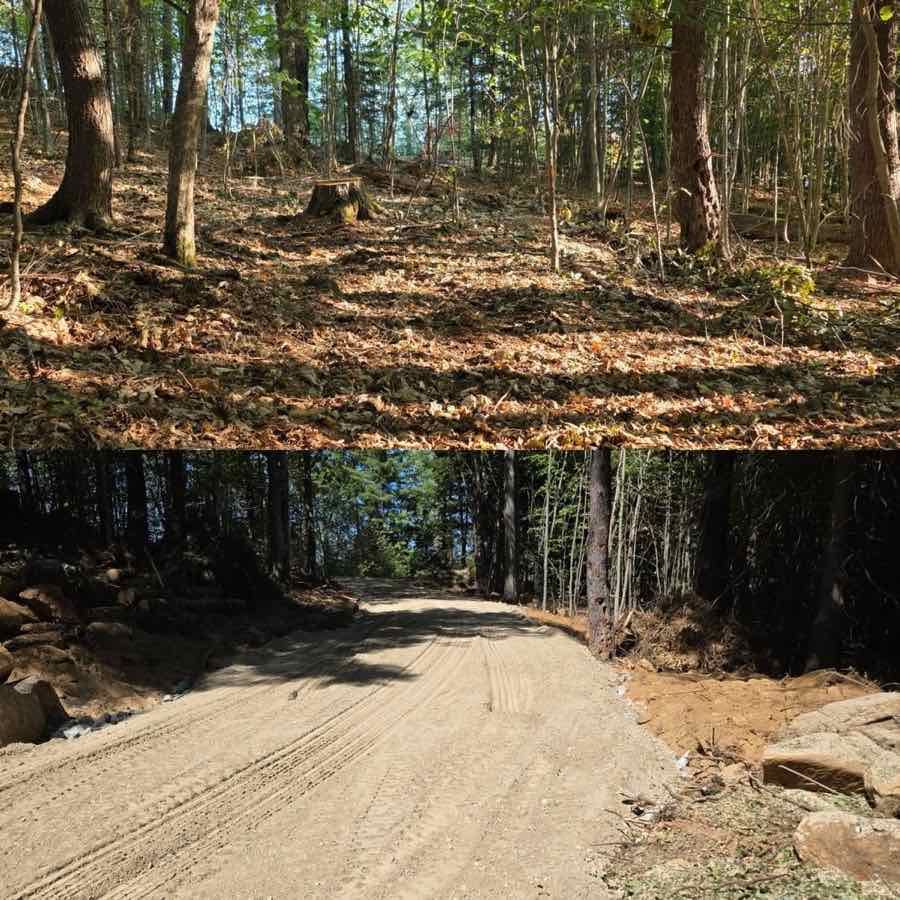Before and after of a wooded lot cleared and graded into a new gravel driveway leading down toward the water